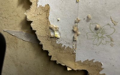 Mould Removal Belfast